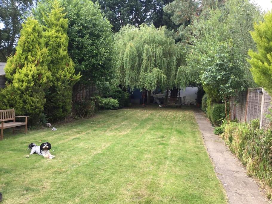 The Studio, Ascot Winkfield Екстериор снимка